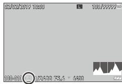 RICOH PHOTONUM.COMPACTGR II STREET EDITION - Transfert d'images - 2