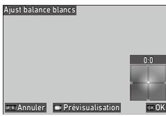 RICOH PHOTONUM.COMPACTGR II STREET EDITION - Correction de la balance des blancs - 1