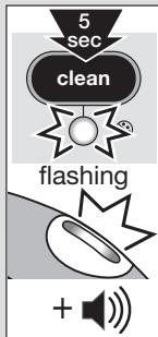 DARRY BRAUN IS3157BL - 15