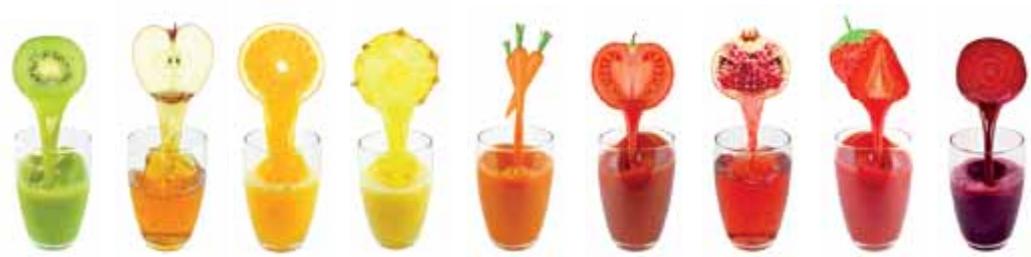 MAGIMIX JUICE EXPERT 3 CH - Extraire le meilleur des FRUITS et légumes - 10