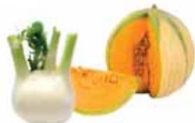 MAGIMIX JUICE EXPERT 3 CH - Les minéraux &amp; FIBRES - 11