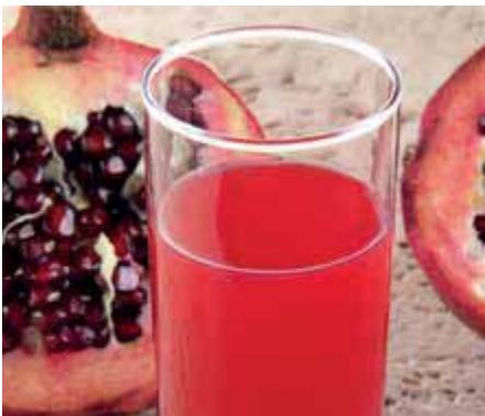 MAGIMIX JUICE EXPERT 3 CH - Antioxydant - 1