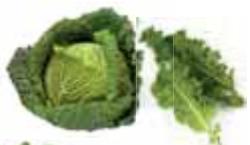 MAGIMIX JUICE EXPERT 3 CH - Les minéraux &amp; FIBRES - 1