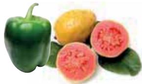 MAGIMIX JUICE EXPERT 3 CH - Les vitamines - 5