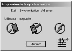 PALM m500 - Pour exécuter une hotsync locale sur un ordinateur windows : - 3