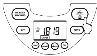 ORVA 1832056 - Dorer - 5