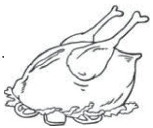THOMSON THFZ233NFWH - Poultry - 1