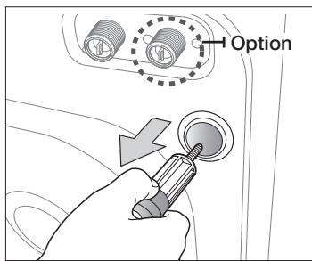 SAMSUNG WDOS804WSE - Enlever les vis de transport - 2