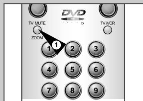 SAMSUNG SV-DVD6E - Zoom - 1