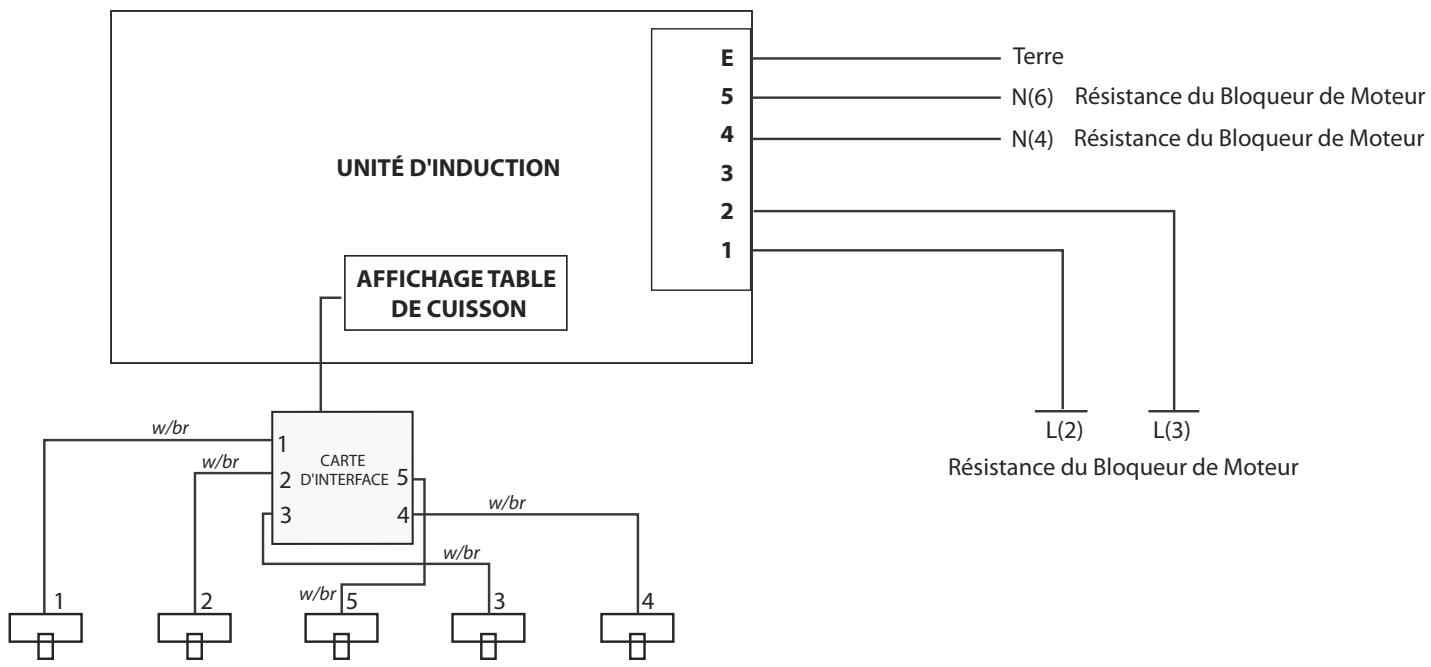 FALCON NEX9OEISL/C-EU - Schémas de Câblage - 1