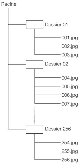 YAMAHA BDS1065 - Structure des dossiers contenant des images fixes (JPEG) - 1
