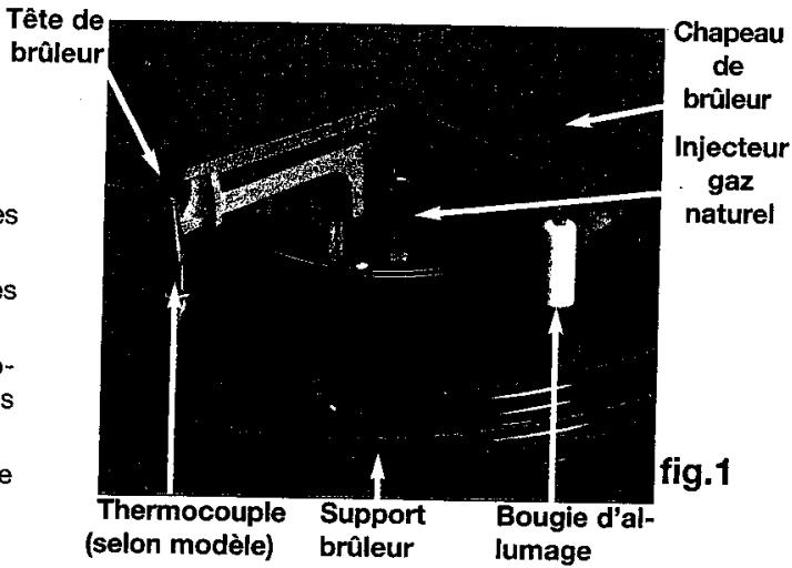 DE DIETRICH CM 240-E - Avec clé à angle : - 1