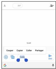 TCL GSMVENDUSEUL10LITEWHITE64GO - Modifier le texte - 1