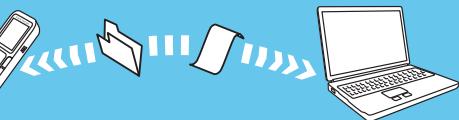 PHILIPS LFHO61700 - 4