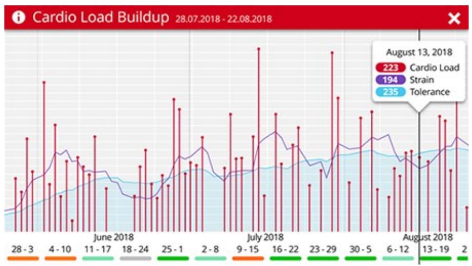 POLAR VANTAGE M BLANC - Analyse à LONG TERME dans l'application et sur le service WEB FLOW - 2