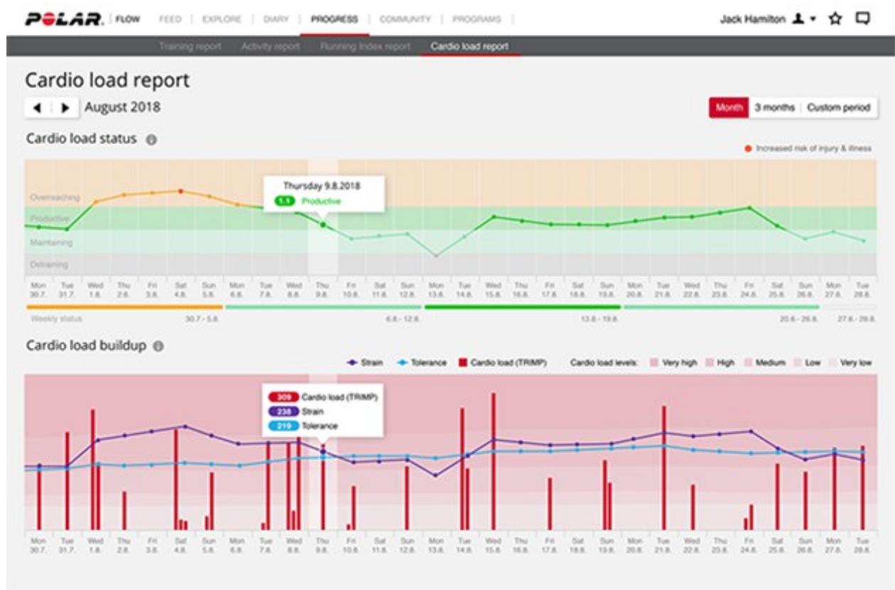 POLAR VANTAGE M BLANC - Analyse à LONG TERME dans l'application et sur le service WEB FLOW - 3