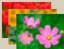 CANON EOS_M50_15-45 - 2 - 6