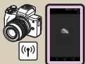 CANON EOS_M50_15-45 - 4 - 6