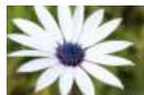CANON EOS_M50_15-45 - 1 - 8