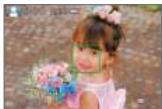 CANON EOS_M50_15-45 - Cadre vert - 1