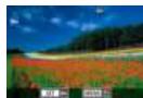 CANON EOS_M50_15-45 - 1 - 3