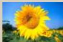 CANON EOS_M50_15-45 - 1 - 4