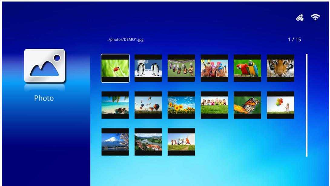 VIVITER 06 NOIR - Photo - 1