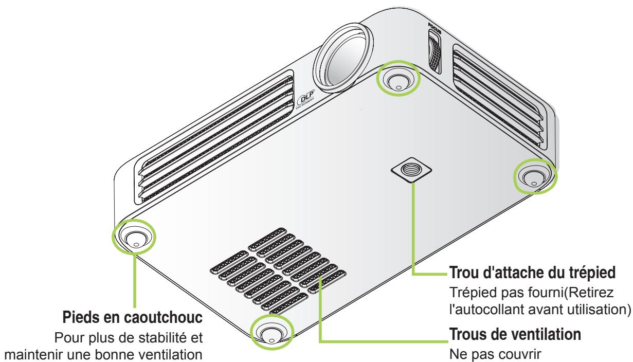 VIVITER 06 NOIR - Aperçu - 4