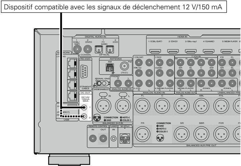 MARANTZ AV8801 - Prises DC OUT - 1