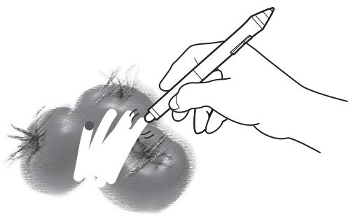 WACOM CINTIQ 13 PEN TOUCH - GOMMER - 1