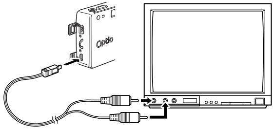 PENTAX Optios - Visualisation des images sur écran de téléviseur - 1