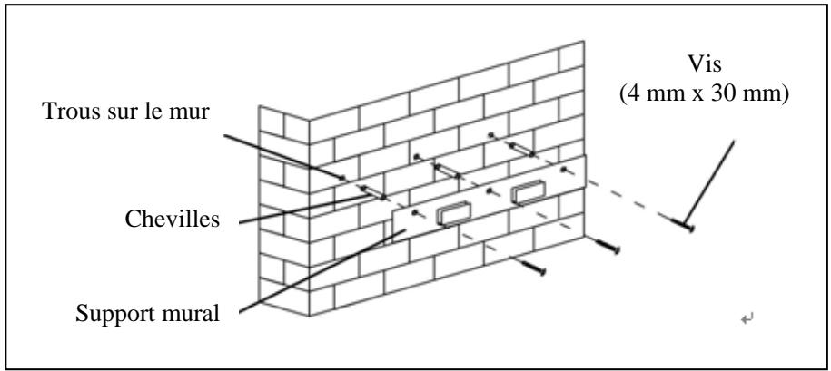 Trous sur le mur Chevilles Support mural Vis (4 mm x 30 mm)