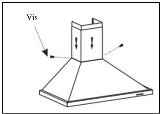 Vis