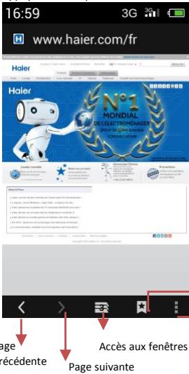HAIER AGCO - Naviguer sur le Web - 1
