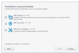 WESTERN DIGITAL DD2.5 1TB LUMEN - Installation personnalisée - 1