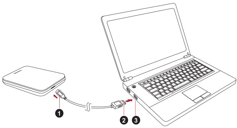 TOSHIBA STOR.E CANVIO - Connexion du lecteur à l'ordinateur - 1