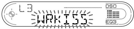 L3 WRKISS DSO EO3