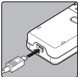OLYMPUS DM 550 - Macintosh - 2