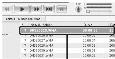 OLYMPUS DM 550 - Macintosh: - 2