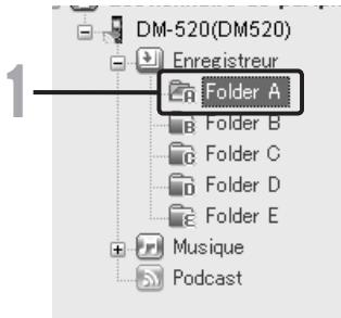 OLYMPUS DM 550 - Macintosh: - 1