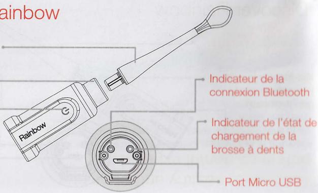 VIGILANT VGTRBO15401 - Insérez une brosse - 10