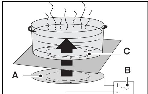 DE DIETRICH 99641905 - Principe de l'induction - 1