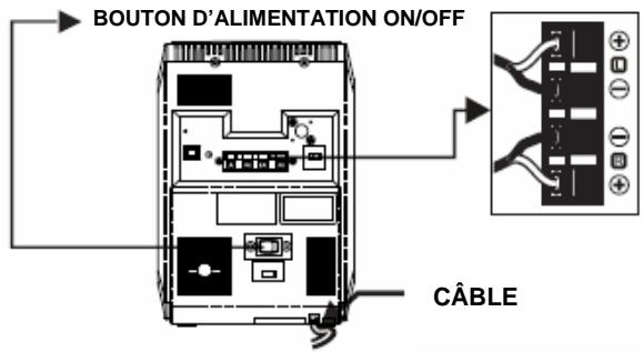 BRANDT BM 3600IP - Connexion des enceintes - 1