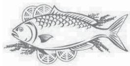 PROLINE DD229WHA++ - Poisson et fruits de mer - 1