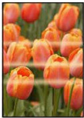 CANON G650 - Contrôle 3 si le problème n'est pas résolu, cliquez sur l'illustration correspondant au problème. - 4