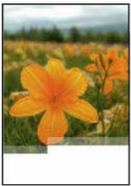 CANON G650 - Contrôle 3 si le problème n'est pas résolu, cliquez sur l'illustration correspondant au problème. - 2