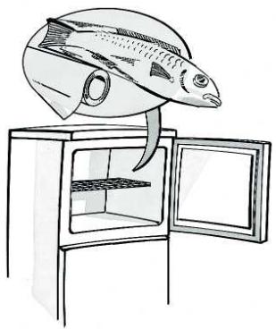 HOTPOINT E4DWC1 - Production de glaçons - 1