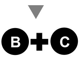 ISET iSET WATCH BLEU - Comptage SCORE sur la MONTRE - 5
