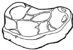 MOULINEX MSB46WH - Viandes rouges - 1