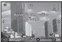 PENTAX K-1 II SILVER + GRIP K1EDITION LIMITE - Ajustement de la composition - 2